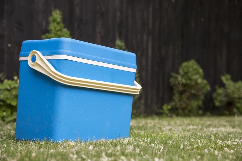 Camping cooler on a grass field