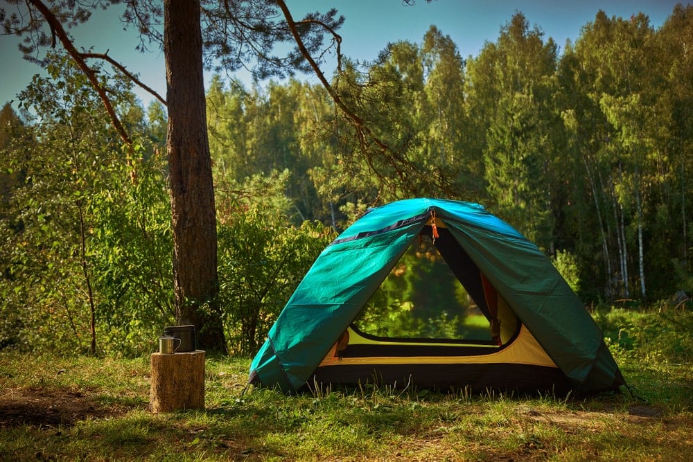 Summer instant tent in the forest