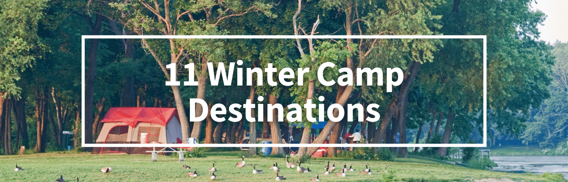 Winter Camp Destinations cover