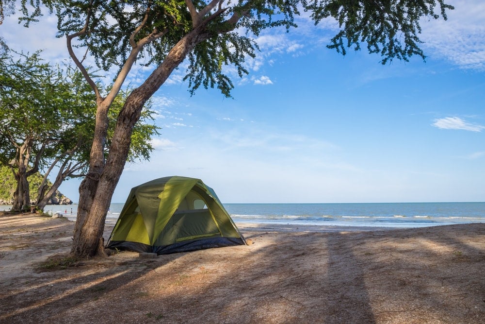 Beach camping tent under a tree