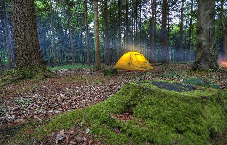 tent in forest