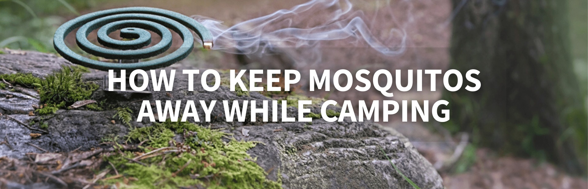 How to keep mosquitos away while camping featured image