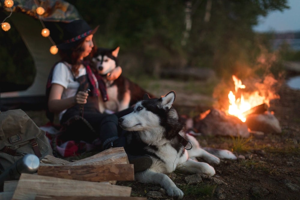 Woman chilling with her dogs while camping