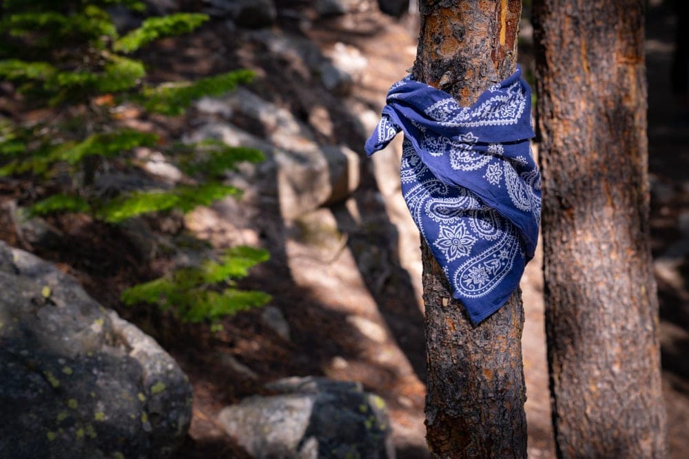 A hiking bandana tied in a tree