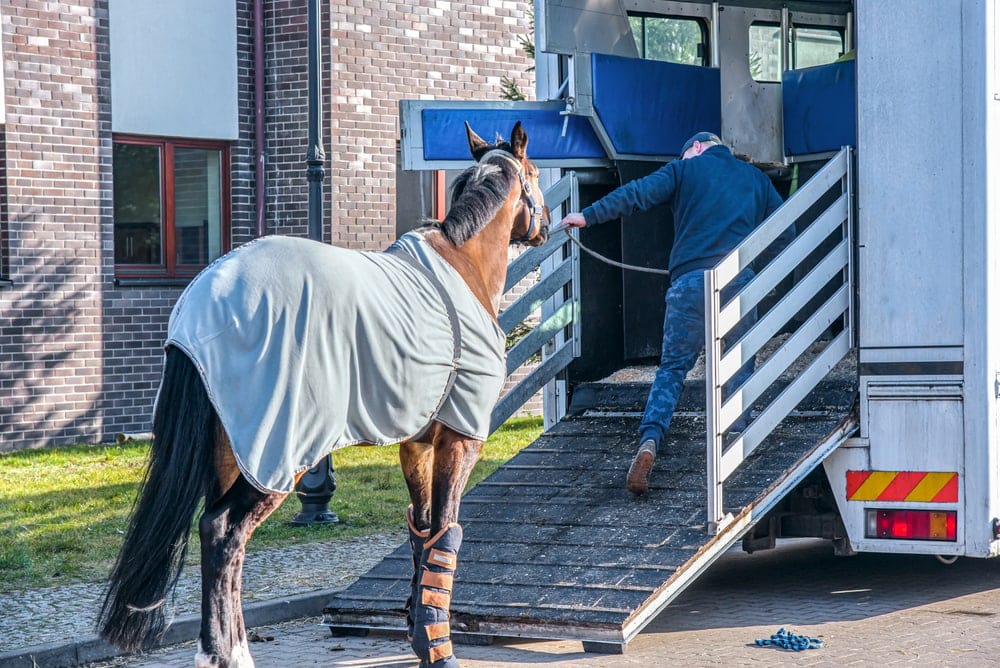 Man holding and pulling a horse to a trailer