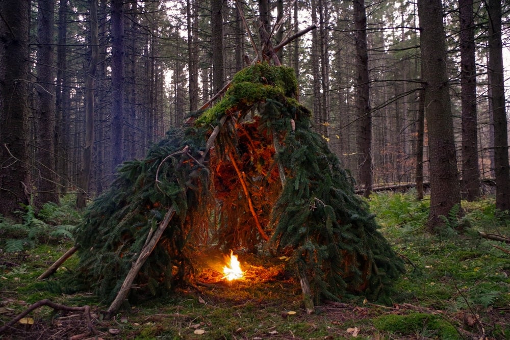 Bushcraft shelter in the forest