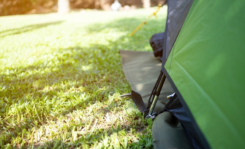 Tent stake attached to the ground