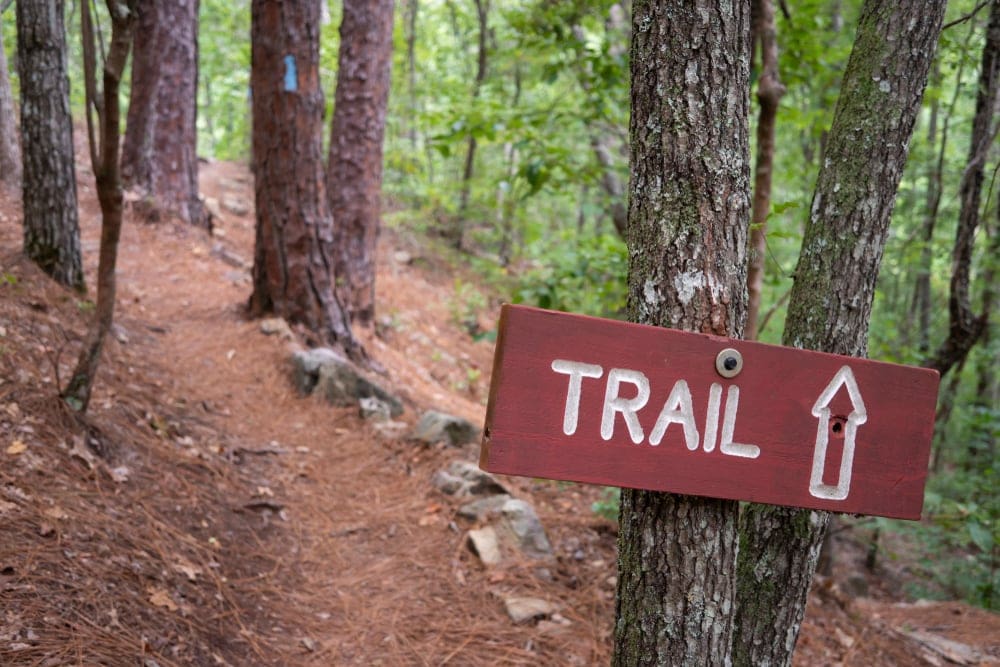 Trail sign along a trail through the forest for backcountry hiking