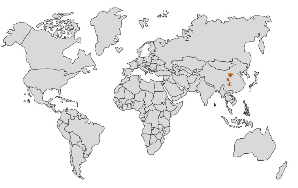 giant panda bear distribution map