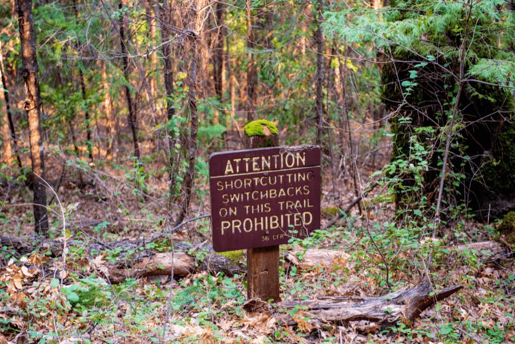 Switchback warning marker in a forest