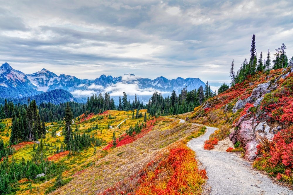 Colorful national park landscape during fall season perfect for camping