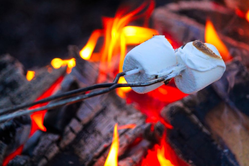 Roasted marshmallows over a campfire
