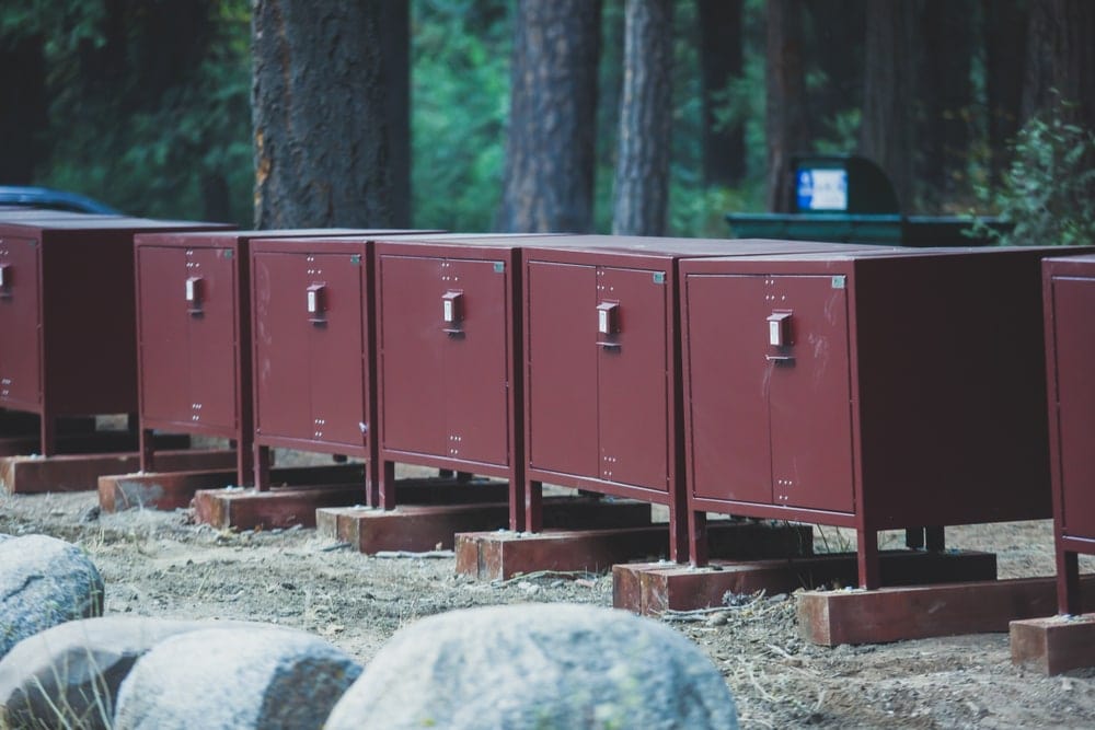 Row line of bear-proof food storage in a bear country campsite