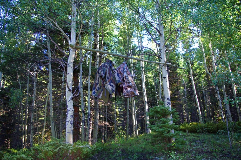 Bear bag hanging in trees