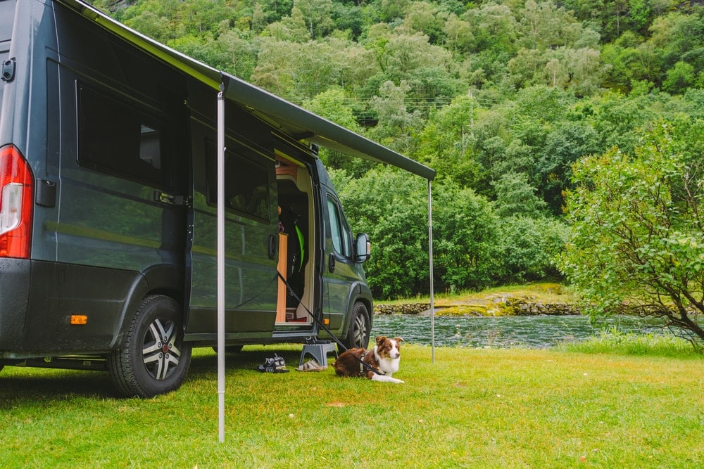 A dog leashed to an RV near a river