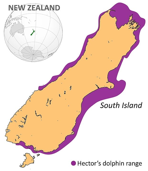 distribution map of Hector's dolphin