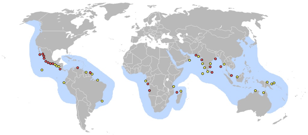 Olive Ridley sea turtle nesting sites map
