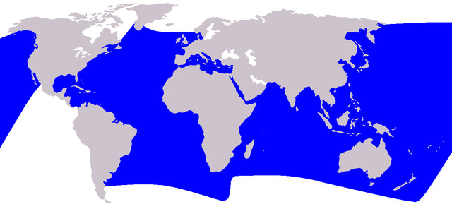 distribution map of striped dolphins