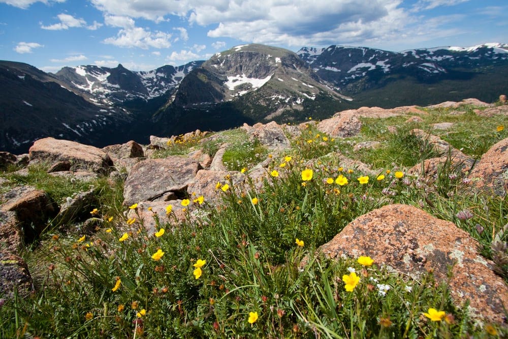 photo of the rocky portion of Alpine Ridge trail 