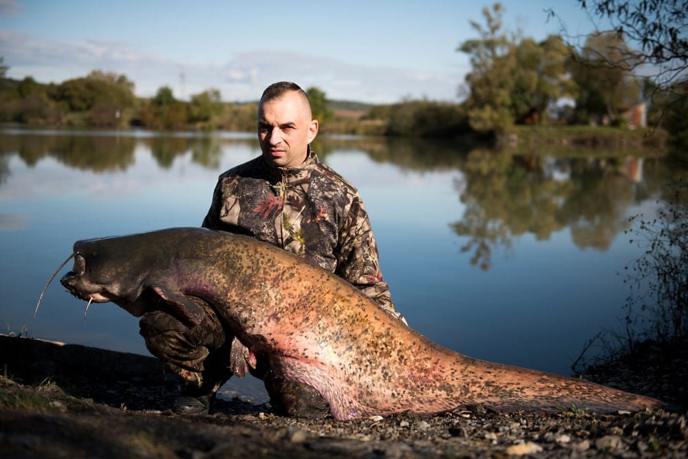 Biggest catfish holding by a man