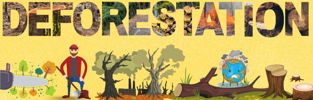 Deforestation graphic