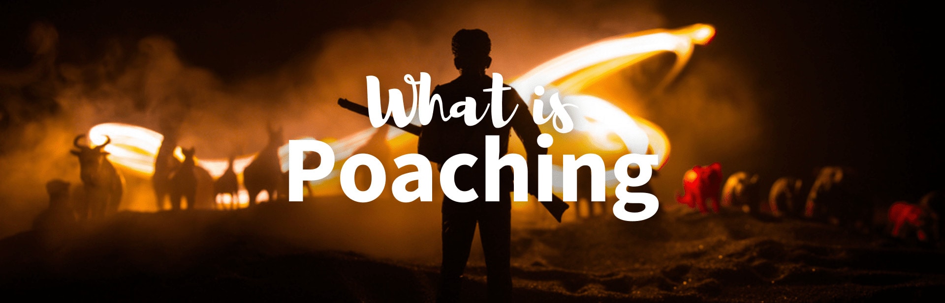 What is poaching featured image