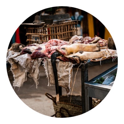 Bushmeats laying on a table