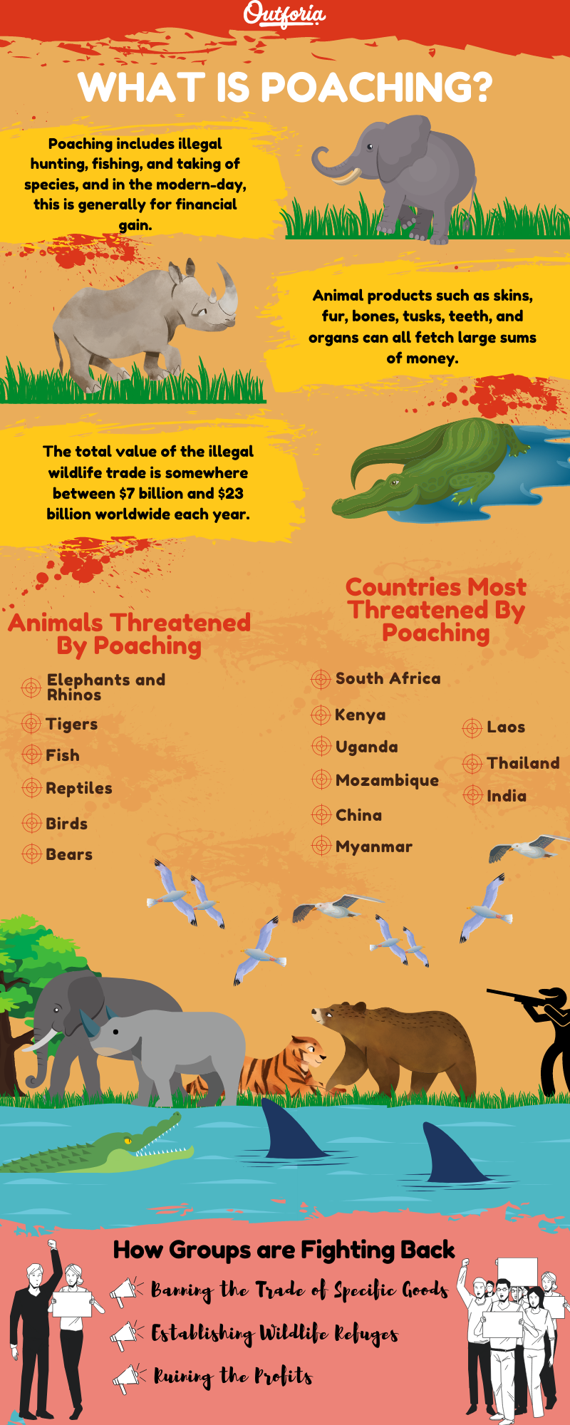 What is poaching infographic