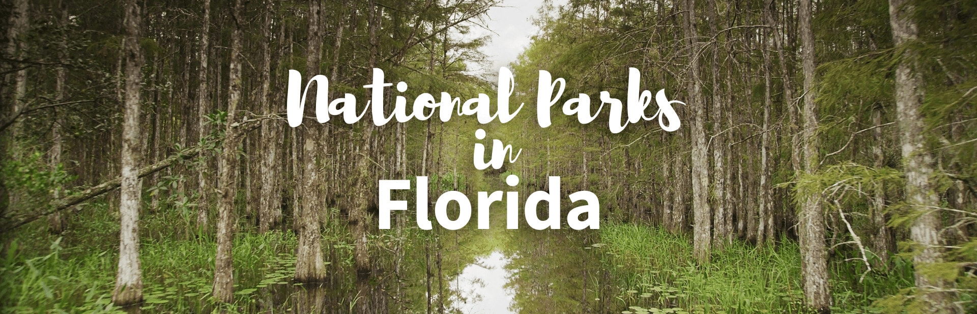 National Parks in Florida featured photo