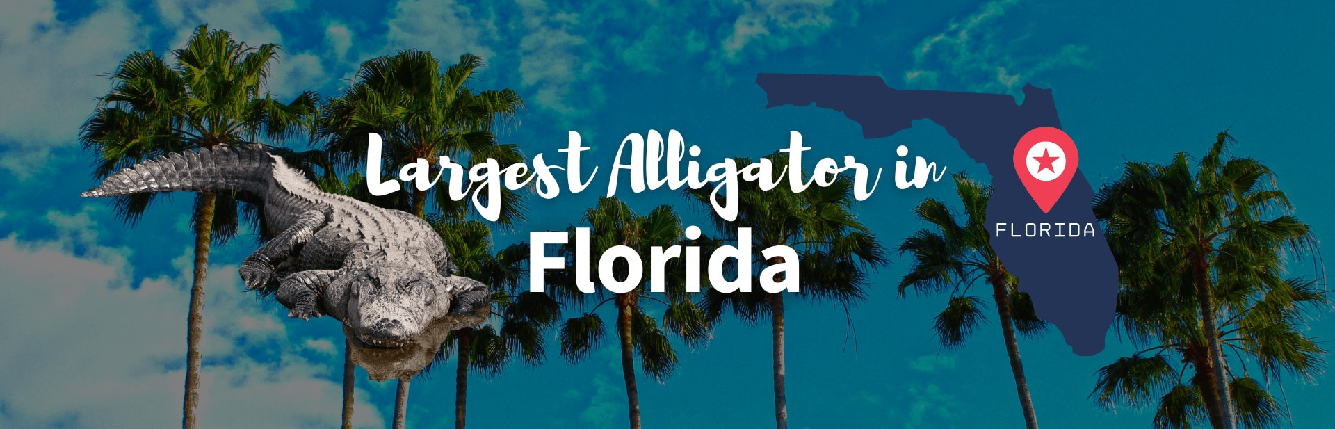 Largest alligator in florida featured image