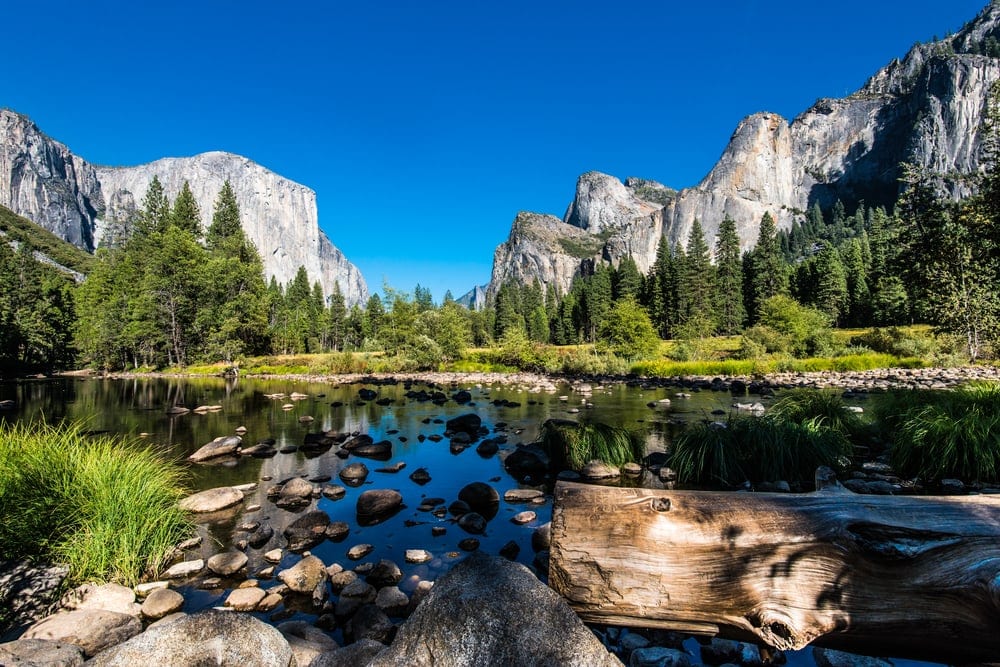 Lake view and pine trees in Yosemite National Park