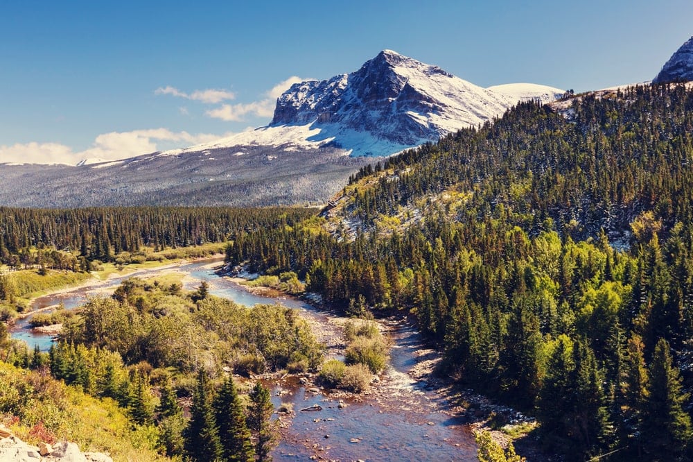 Aerial view of Glacier National Park's mountain and big trees