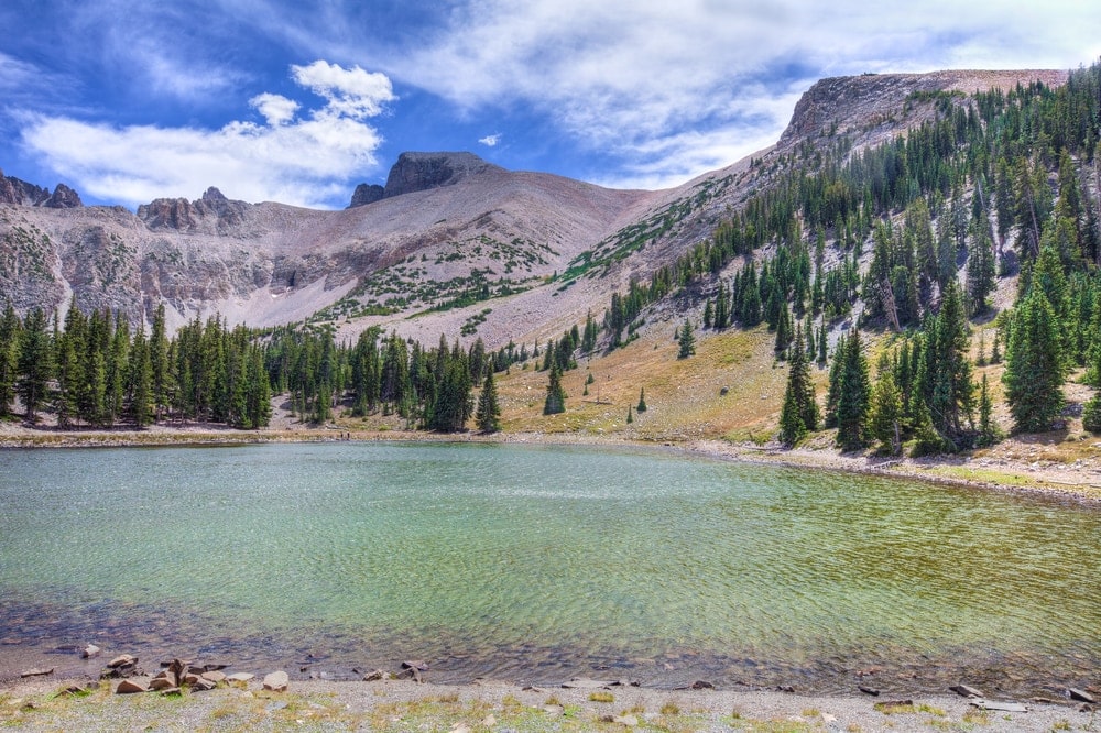 Tall pine trees and lake in Great Basin National Park, Nevada