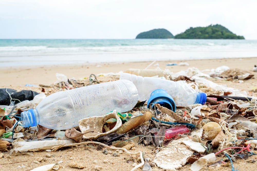 Plastics and waste thrown at the shore of a beach