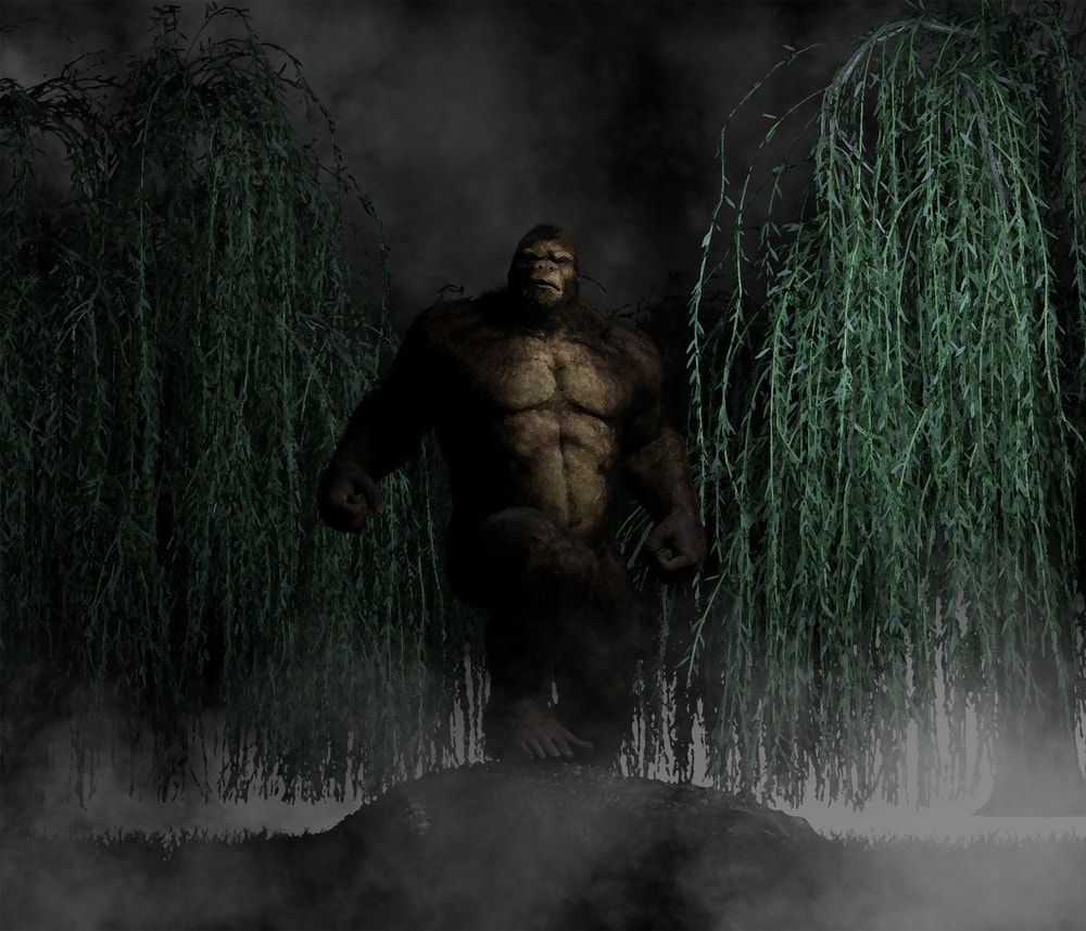 Huge monkey folklore in Florida