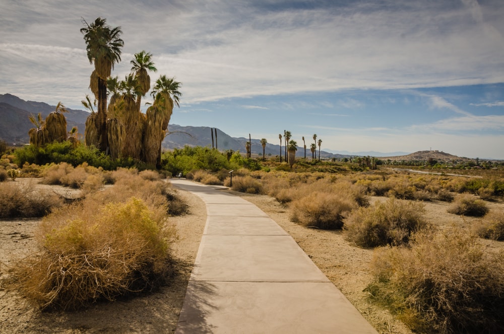 Oasis of Mara half mile nature trail through oasis in the desert at Joshua Tree National Park Visitor Center.