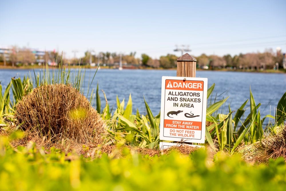 Alligators and snakes danger warning sign