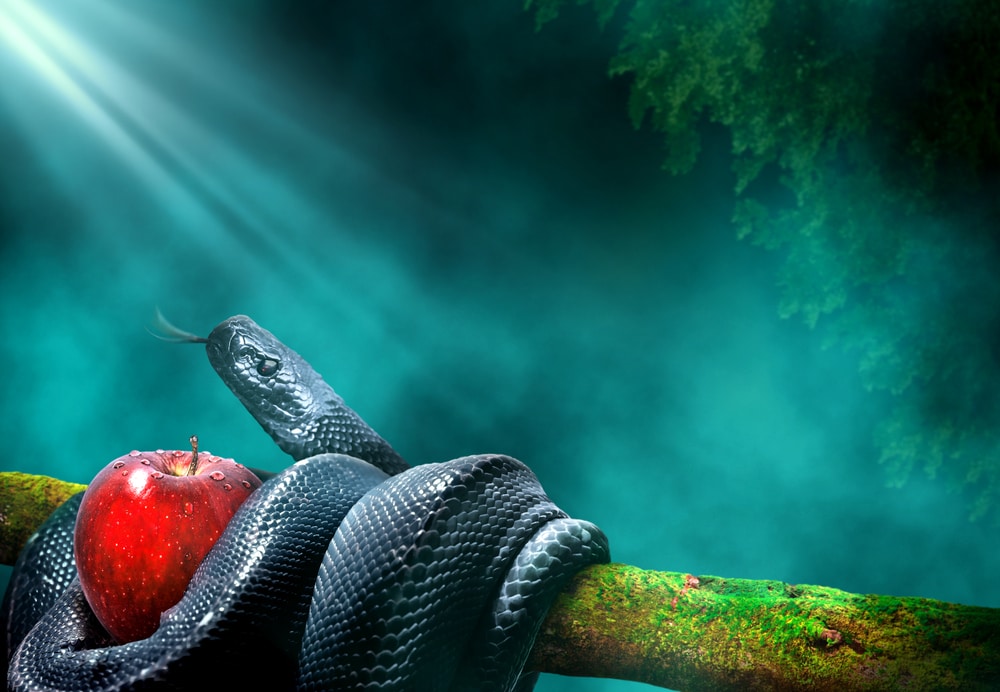Black snake with an apple fruit in a branch of a tree. Forbidden fruit concept.