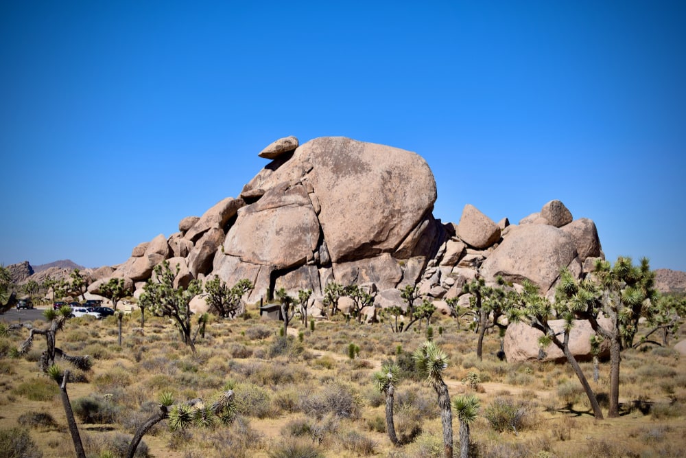 Cap rock Trail Joshua Tree National Park, California