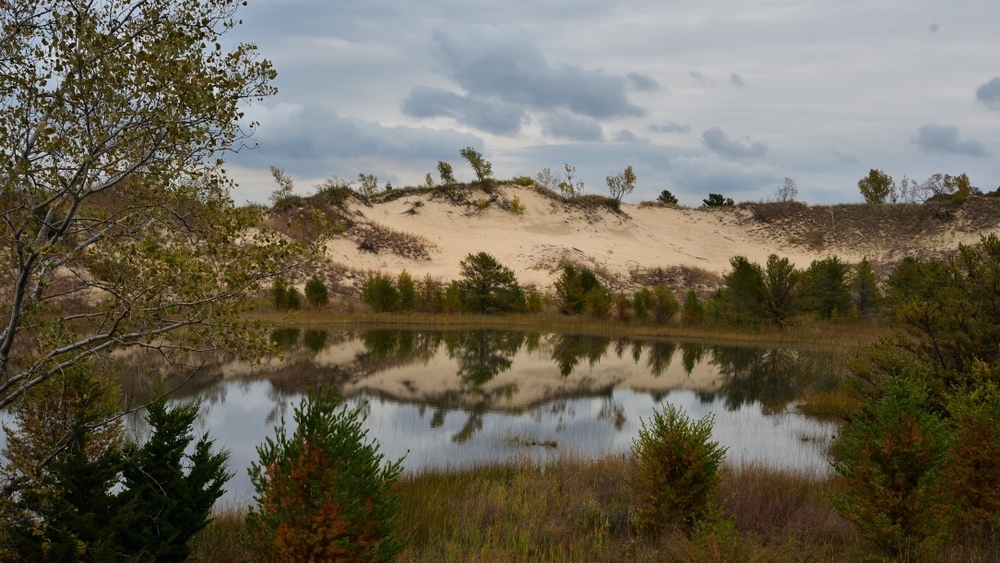 Image of a pond with Sand dunes in the background in Indiana Dunes National Park