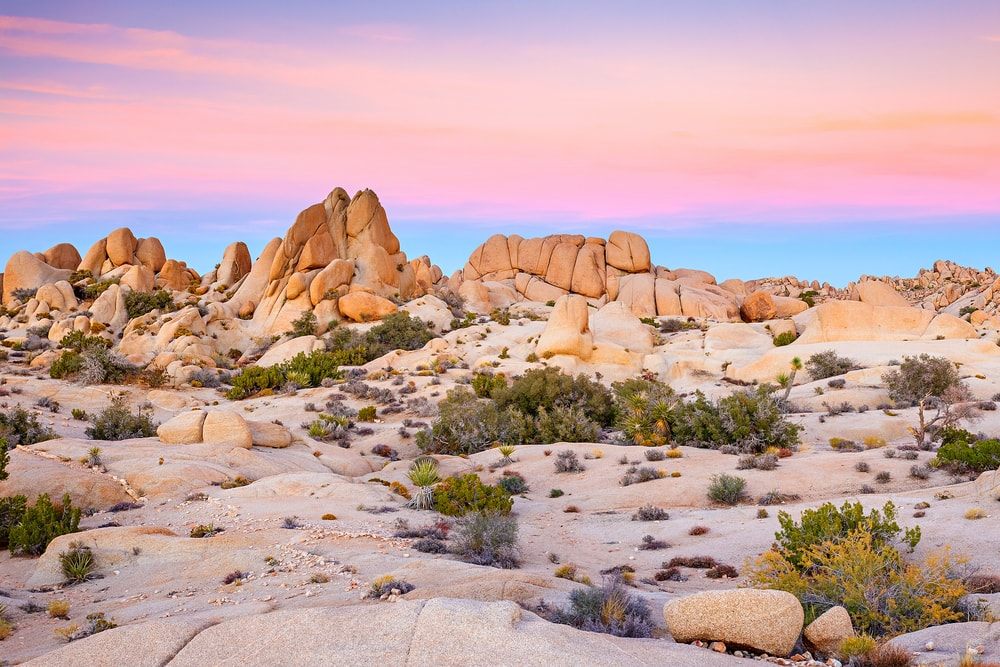 Joshua Tree National Park, Mojave Desert, California