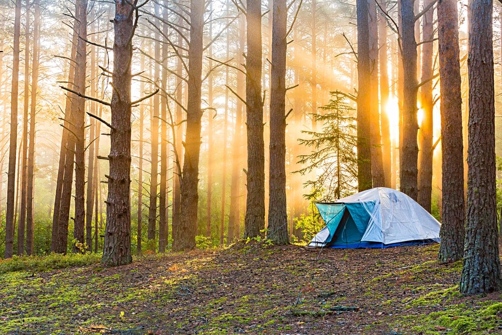 tent in the middle of a national forest