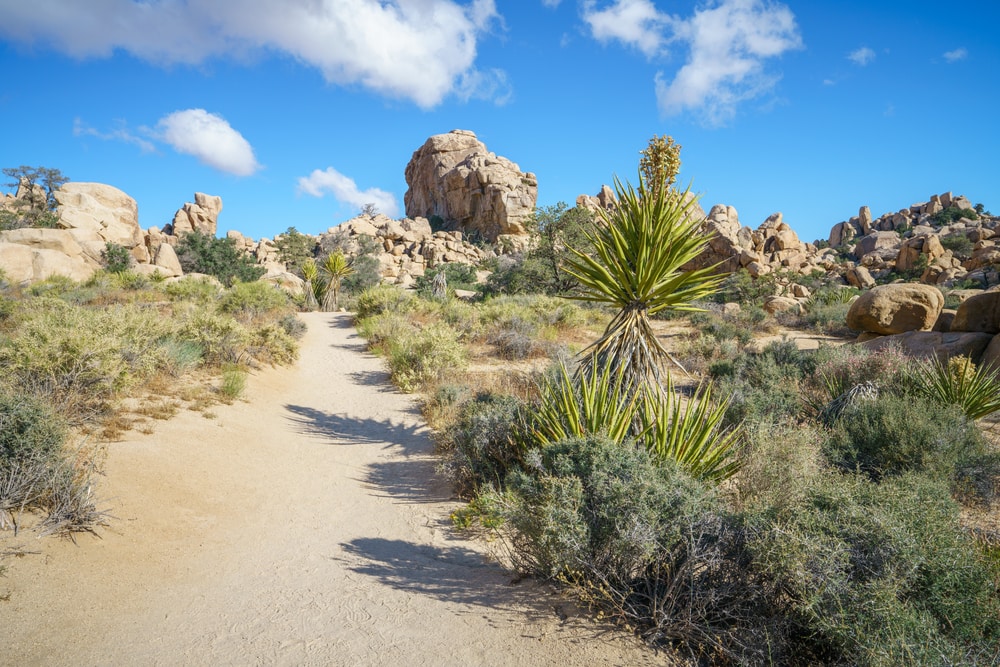 hiking the hidden valley trail in joshua tree national park, california in the usa