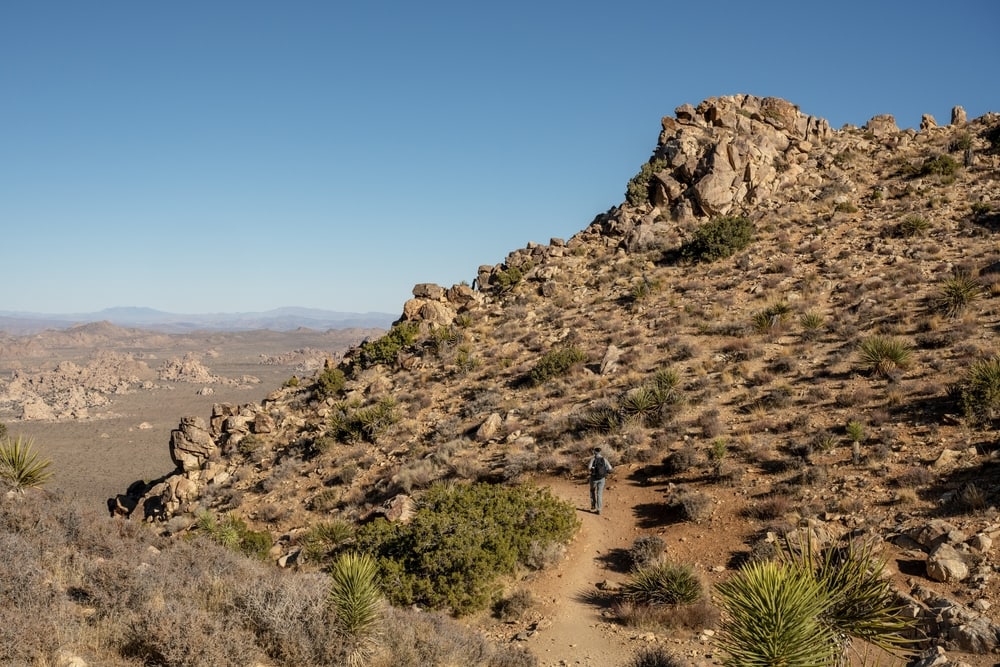 Hiker Heading Down Ryan Mountain Trail in Joshua Tree National Park