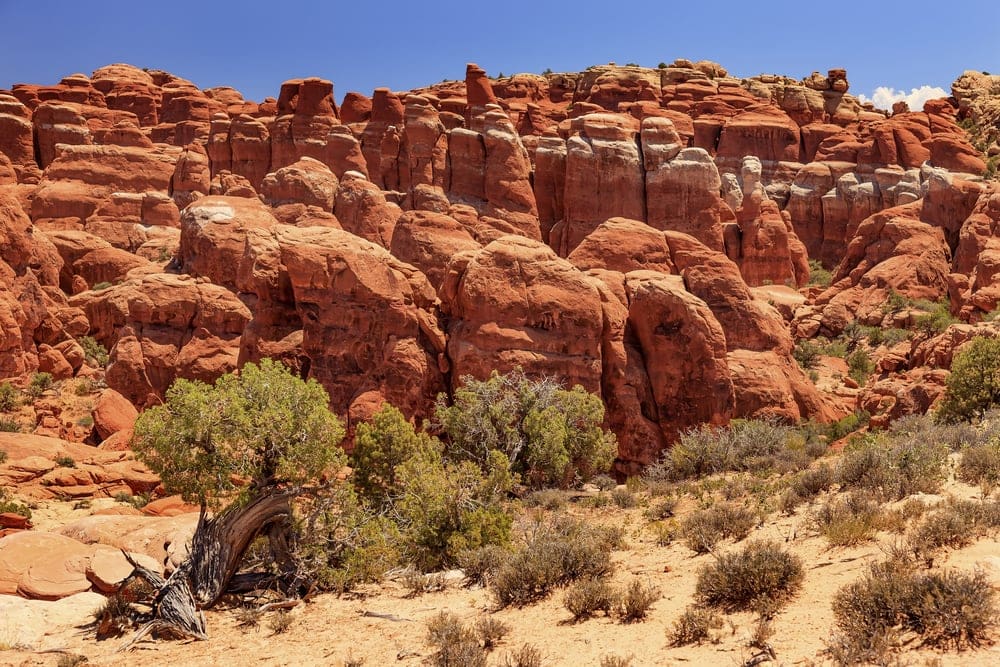  Red Orange Hoodoos Rock Canyon at Fiery Fyrnce in Arches National Park
