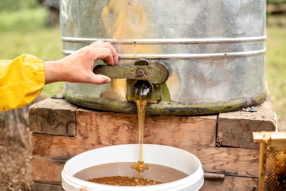 A person pouring honey to a storage