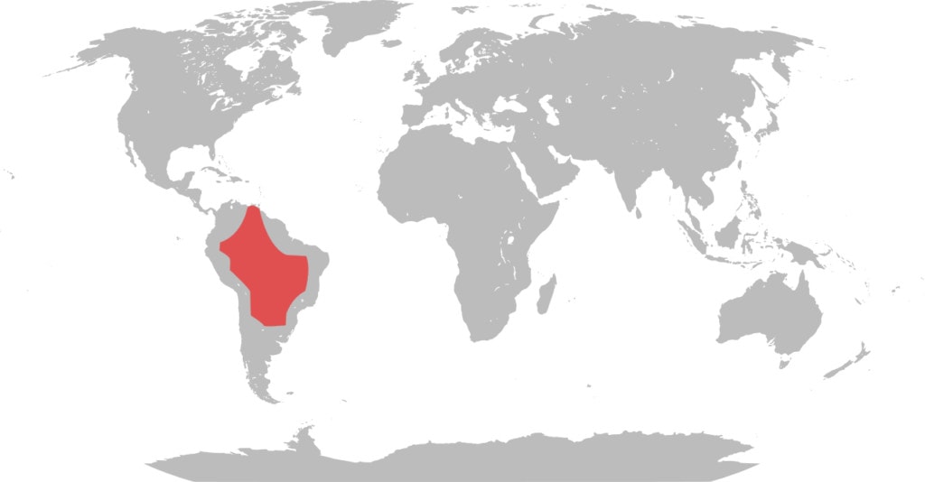 the distribution map of the largest types of otters, the giant otter