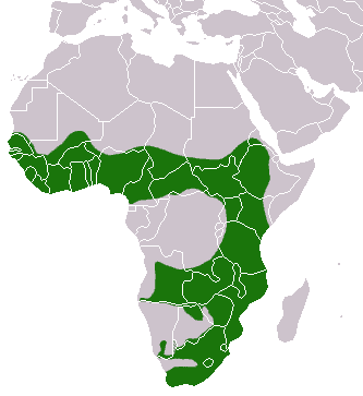 African Clawless Otter distribution map
