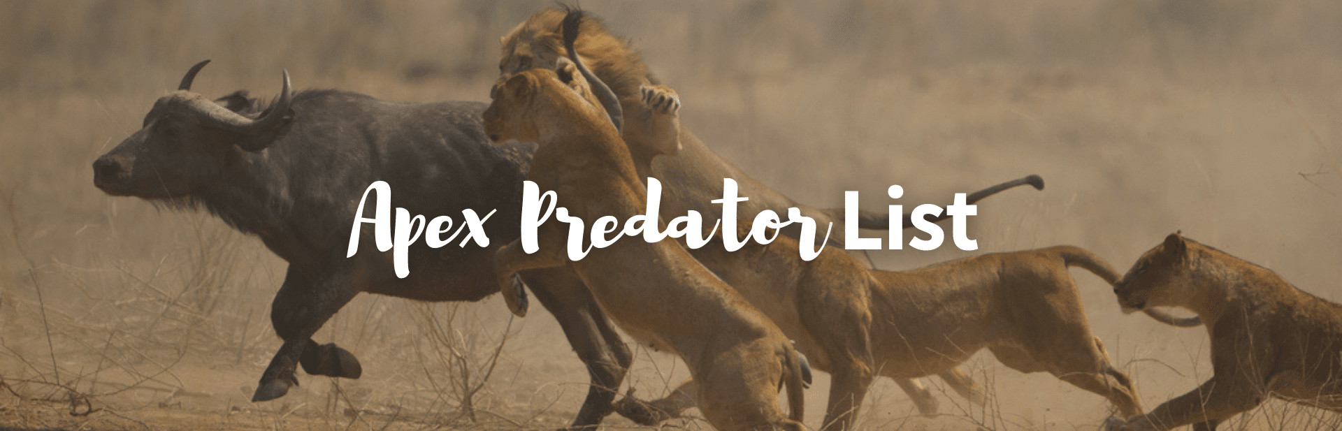 Apex predator list featured image