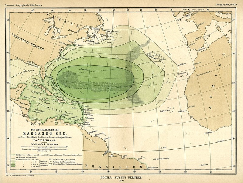 Sargasso sea map where eels swim of